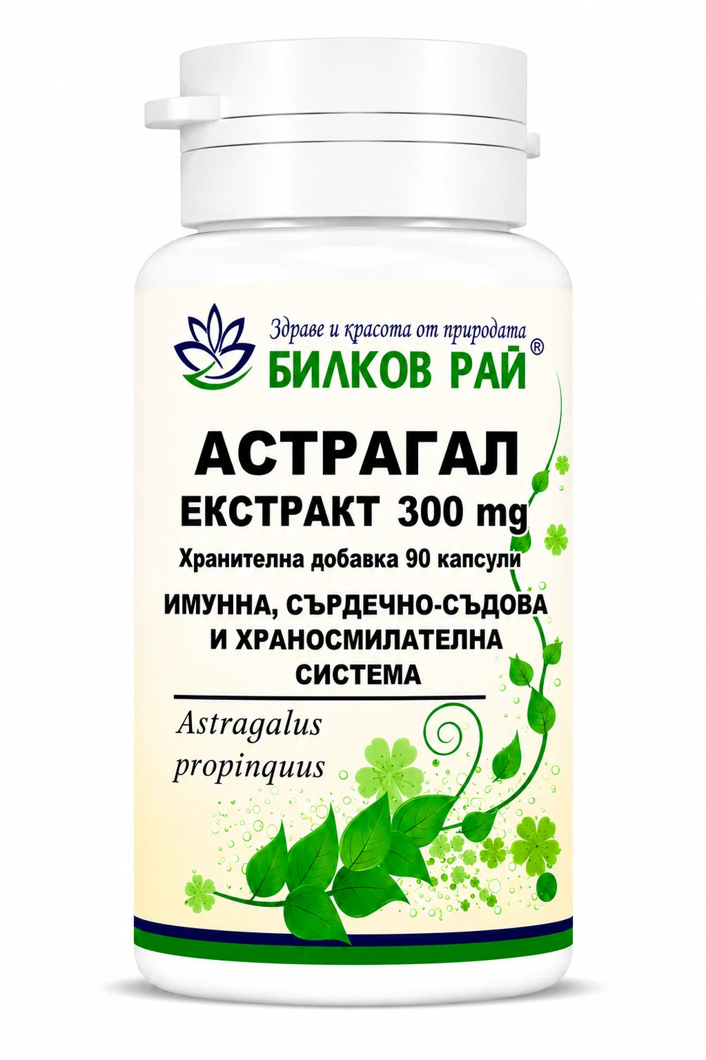 Астрагал екстракт стрък 300 mg 90 капсули