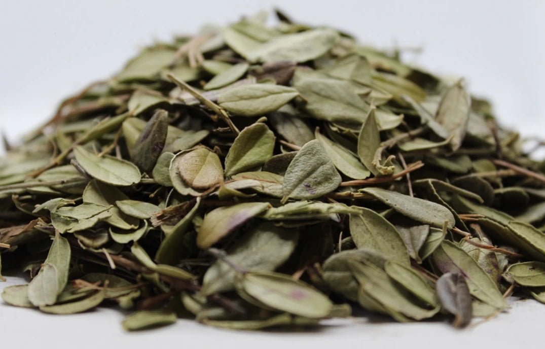 Черна боровинка лист (Vaccinium Myrtillis) насипен чай