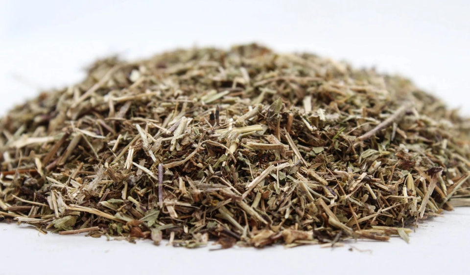 Червено подъбиче стрък(Teucrium chamaedrys) насипен чай