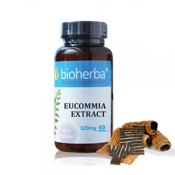 Еукомия екстракт / eucommia extract/, 320mg 60 капсули