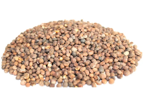 Фий (Vicia sativa) семе - насипен
