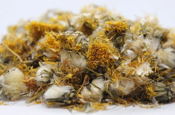 Глухарче (Taraxacum Officinale) цвят - насипен