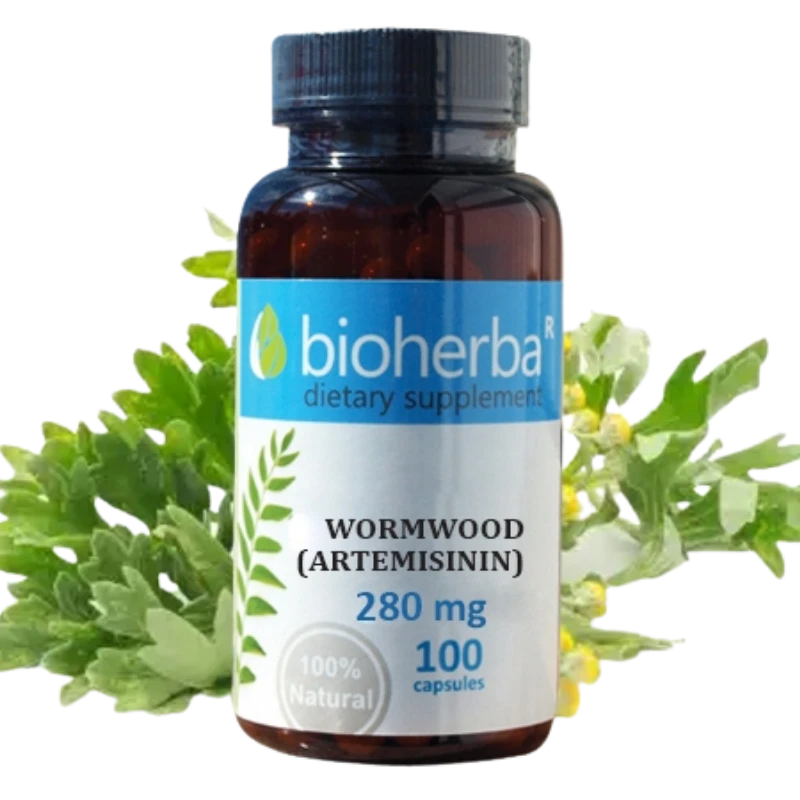 Лечебен пелин (Southern wormwood) 260 мг 100 капсули