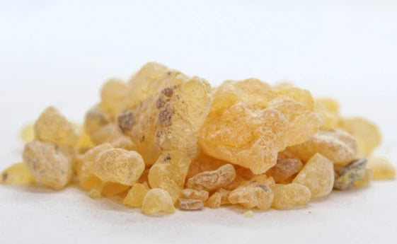 Мастикс - дъвка (Pistacia lentiscus) 10 гр