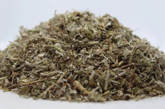 Миши уши, рунянка стрък (Hieracum pilosella l.) насипен чай
