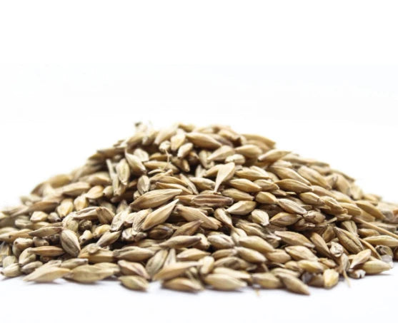 Овес (Avena sativa) семе - насипен