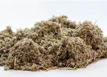 Планински очиболец стрък (Potentilla erecta) насипен чай