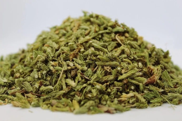 Плавун бухалковиден стрък(Licopodium Clavatum) - насипен чай