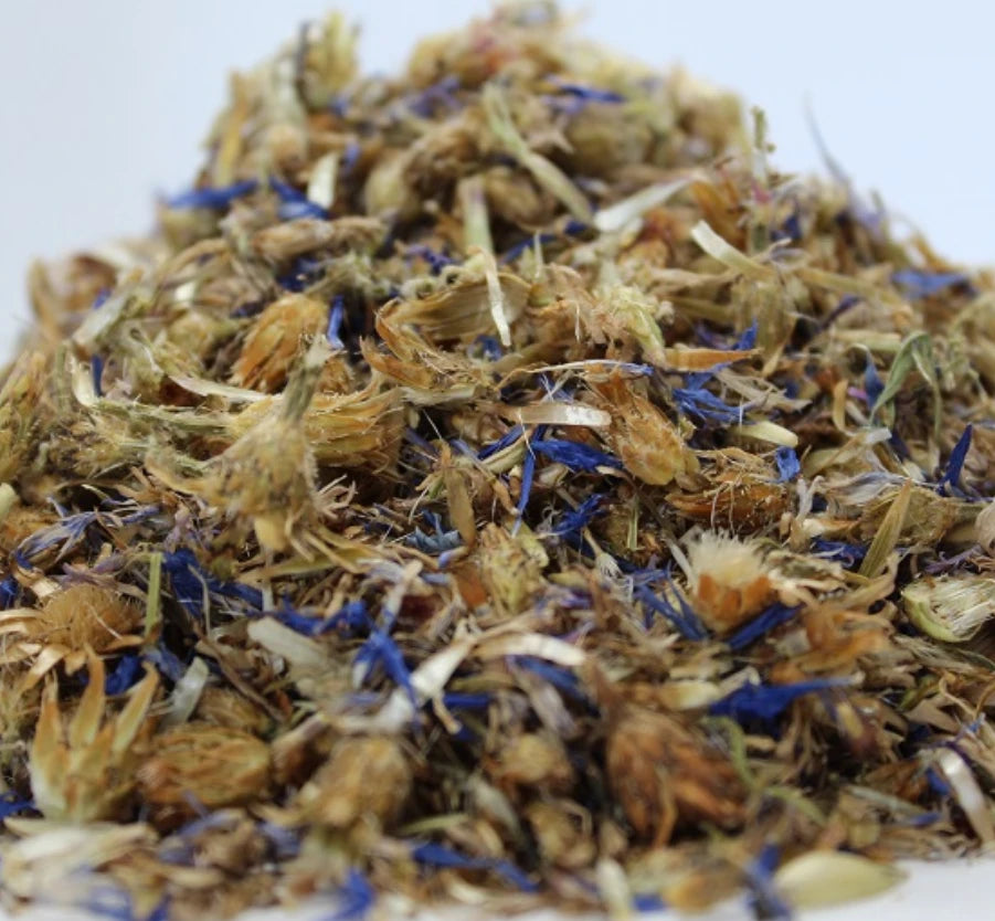 Синя метличина цвят (Centaurea cyanus) насипен цвят