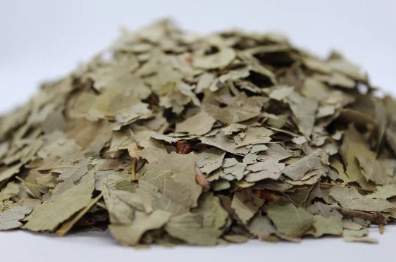 Трепетлика листа (Populus tremula) насипен чай