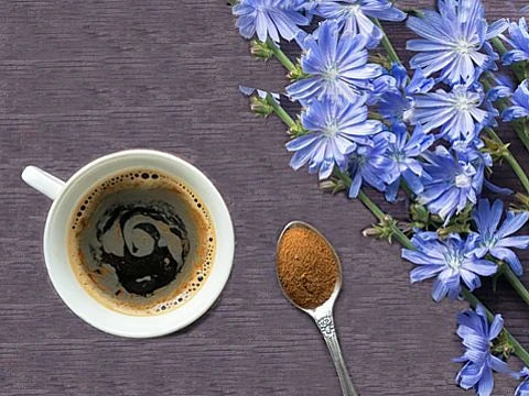 Цикория кафе