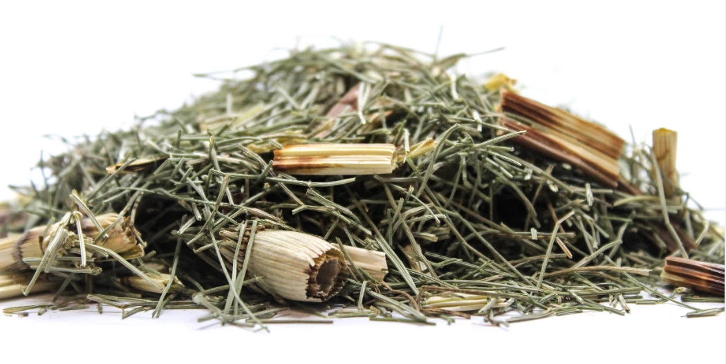 Планински хвощ (Equisetum telmateia) насипен чай