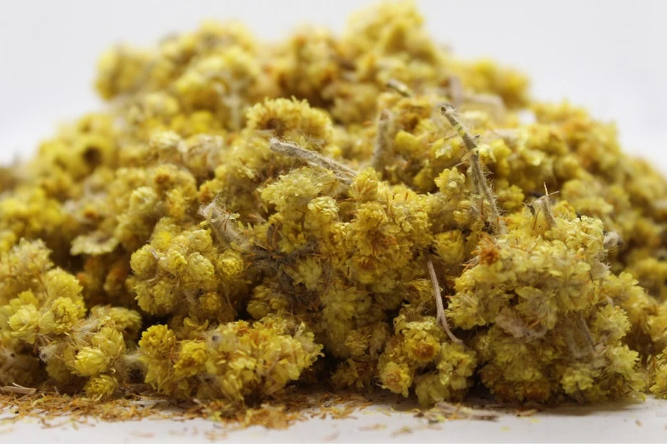 Жълт смил, безсмъртниче (Helichrysum arenarium) насипни чай