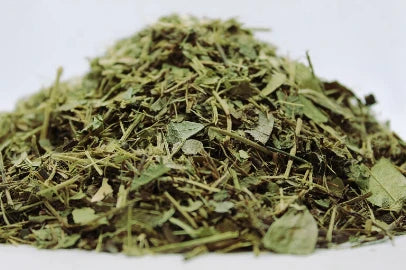 Зимзелен (Vinca Herbacea) листа